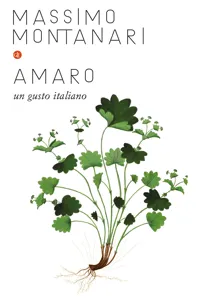 Amaro_cover