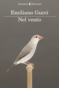 Nel vento_cover