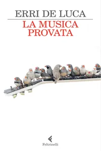 La musica provata_cover