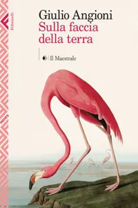 Sulla faccia della terra_cover