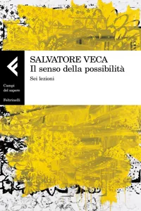 Il senso della possibilità_cover