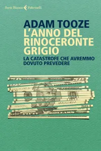 L'anno del rinoceronte grigio_cover