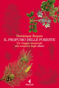 Il profumo delle foreste_cover