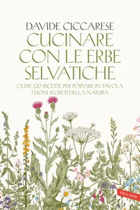 Cucinare con le erbe selvatiche_cover