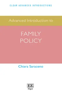 Advanced Introduction to Family Policy_cover