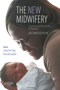 The New Midwifery_cover