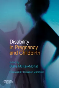 Disability in Pregnancy and Childbirth_cover