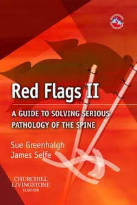 Red Flags II_cover