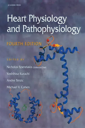 Heart Physiology and Pathophysiology