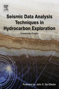 Seismic Data Analysis Techniques in Hydrocarbon Exploration_cover