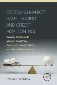 Emerging Market Bank Lending and Credit Risk Control_cover