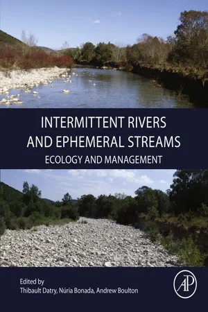 Intermittent Rivers and Ephemeral Streams