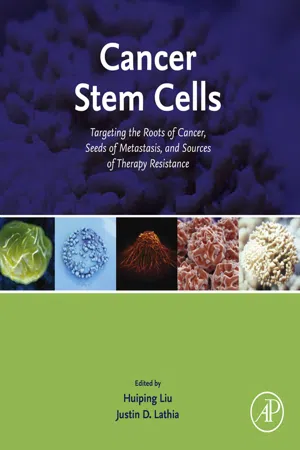 Cancer Stem Cells