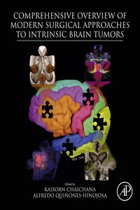 Comprehensive Overview of Modern Surgical Approaches to Intrinsic Brain Tumors_cover
