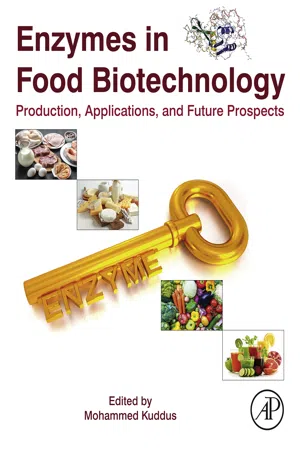 Enzymes in Food Biotechnology