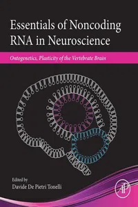 Essentials of Noncoding RNA in Neuroscience_cover