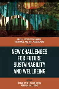 New Challenges for Future Sustainability and Wellbeing_cover