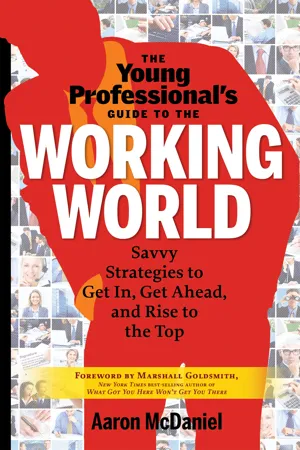 The Young Professional's Guide to the Working World