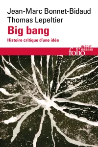 Big bang. Histoire critique d'une idée_cover