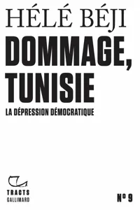 Tracts - Dommage, Tunisie_cover