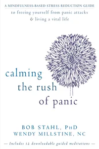 Calming the Rush of Panic_cover