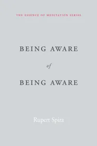 Being Aware of Being Aware_cover