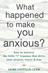 What Happened to Make You Anxious?_cover