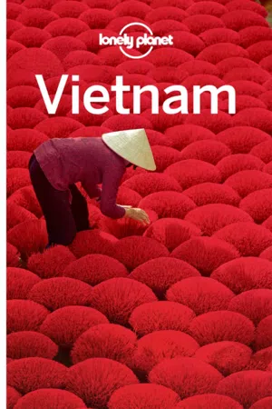 Lonely Planet Vietnam 16 - (Travel Guide) 16th Edition (Paperback)