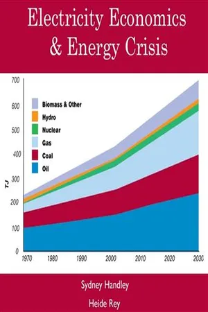 Electricity Economics & Energy Crisis