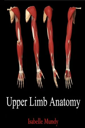 Upper Limb Anatomy