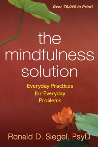 The Mindfulness Solution_cover