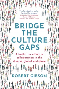 Bridge the Culture Gaps_cover
