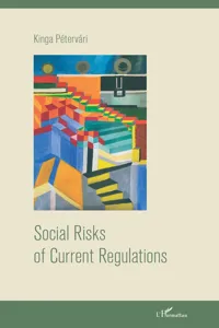 Social Risks of Current Regulations_cover