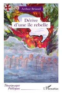 Dérive d'une île rebelle_cover