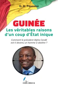 Guinée Les véritables raisons d'un coup d'Etat inique_cover