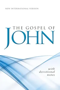 NIV, Gospel of John_cover