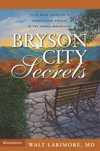 Bryson City Secrets_cover