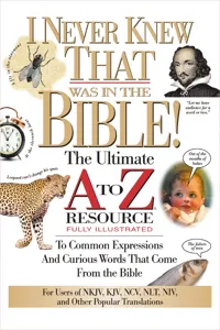 I Never Knew That Was in the Bible_cover