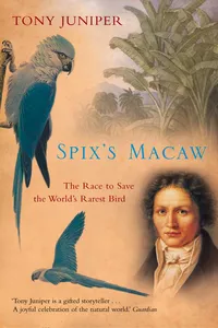 Spix's Macaw_cover