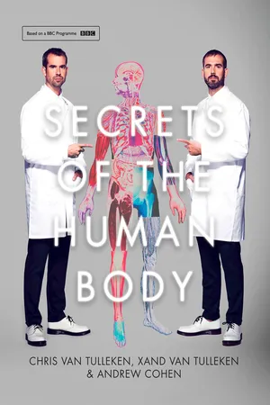 BBC One - The Human Body, An Everyday Miracle