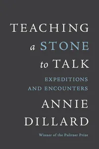 Teaching a Stone to Talk_cover