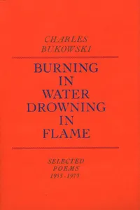 Burning in Water, Drowning in Flame_cover