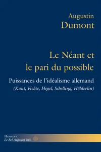 Le Néant et le pari du possible_cover