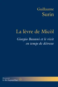 La lèvre de Micòl_cover