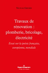 Travaux de rénovation : plomberie, bricolage, électricité_cover