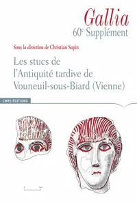 Les stucs de l'antiquité tardive de Vouneuil-sous-Biard_cover