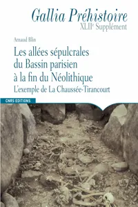 Les allées sépulcrales du Bassin parisien à la fin du Néolithique_cover