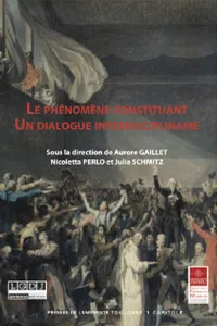 Le phénomène constituant_cover