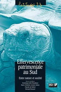 Effervescence patrimoniale au Sud_cover