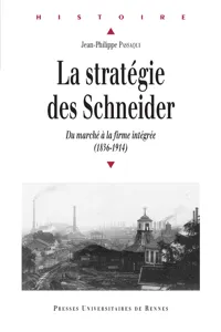 La stratégie des Schneider_cover